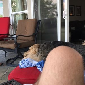 Meet your Posher, Timothy